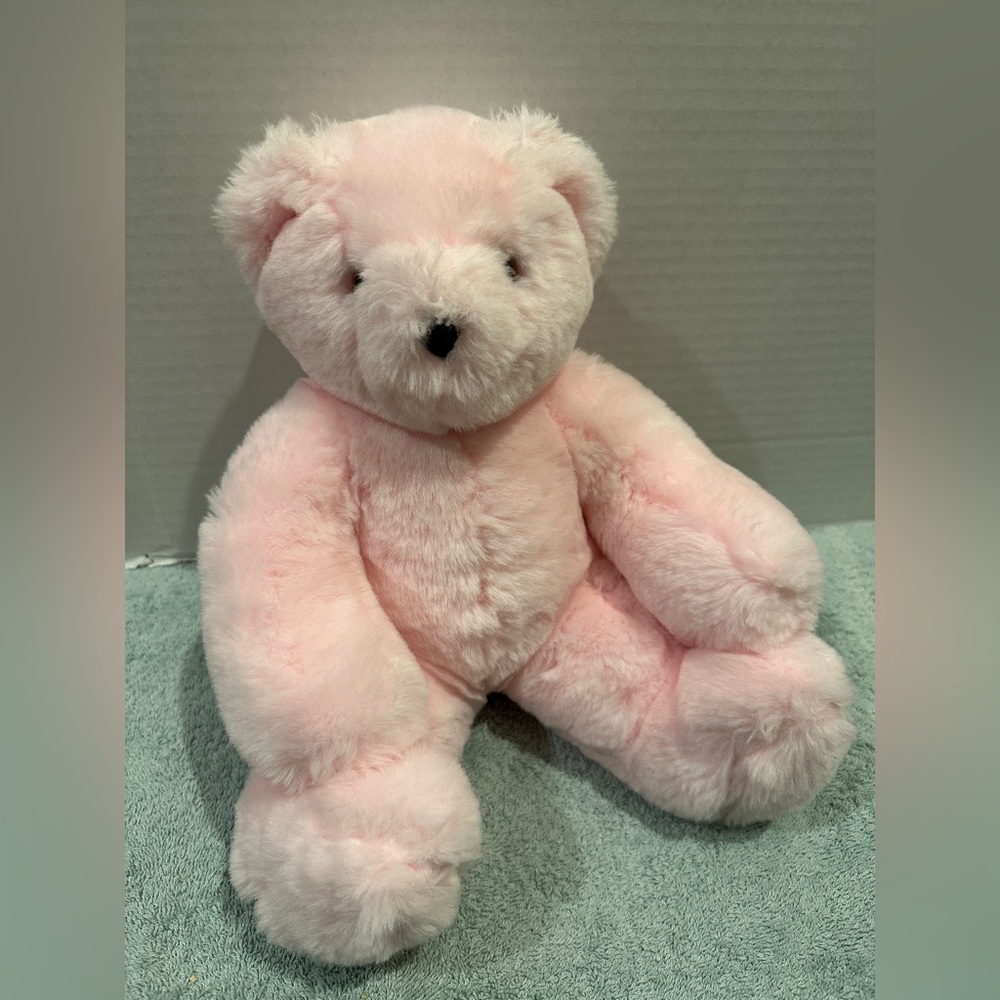 Friends for Life Vermont Teddy Bear Soft Pink Plush 9” Vintage Stuffed Animal